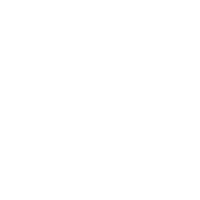 TikTok Logo